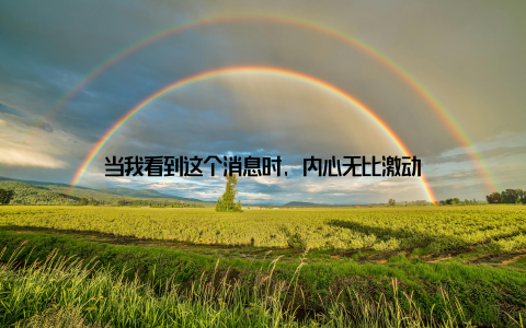 当我看到这个消息时, 内心无比激动