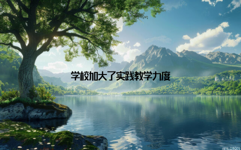 学校加大了实践教学力度