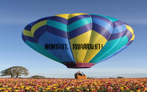 谢谢你们, 我的朋友们!