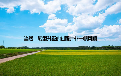 当然, 转型升级的过程并非一帆风顺