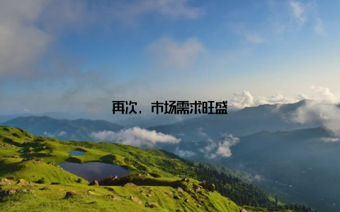 再次, 市场需求旺盛