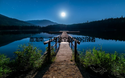 而海南, 正是这个趋势的引领者