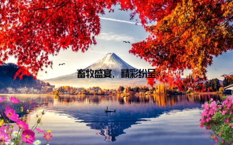 畜牧盛宴, 精彩纷呈