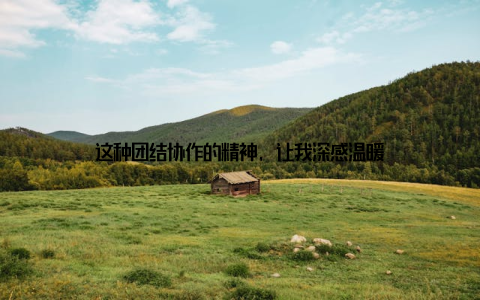 这种团结协作的精神, 让我深感温暖