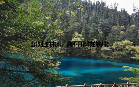 畜牧业的未来, 离不开科技的赋能