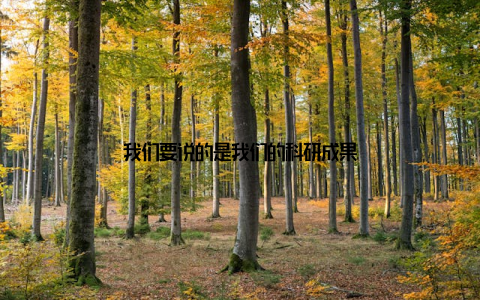 我们要说的是我们的科研成果