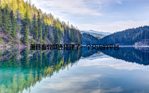 萧县畜牧网还搭建了一个交流的平台