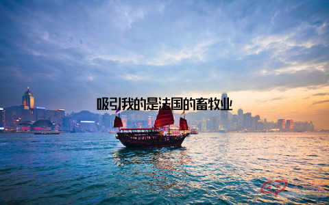 吸引我的是法国的畜牧业
