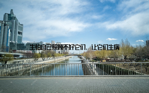 生怕自己照顾不好它们, 让它们生病