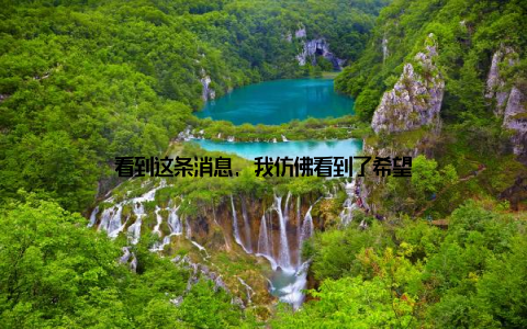 看到这条消息, 我仿佛看到了希望