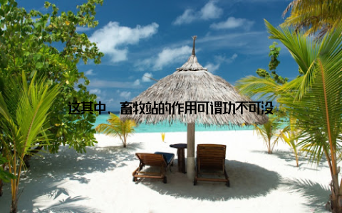 这其中, 畜牧站的作用可谓功不可没