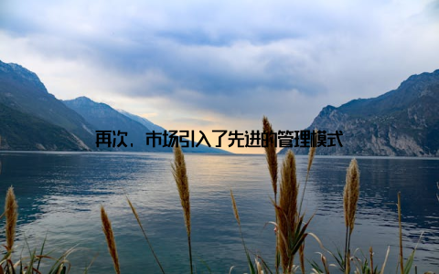 再次, 市场引入了先进的管理模式