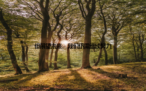 但展望未来, 我们仍需继续努力