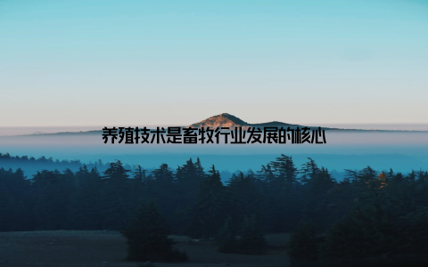 养殖技术是畜牧行业发展的核心