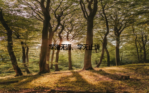 学海无涯, 学无止境