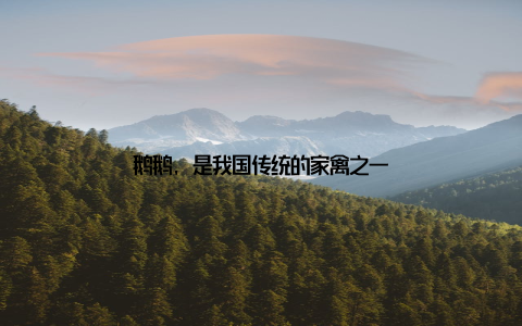 鹅鹅, 是我国传统的家禽之一