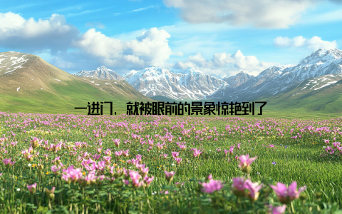 一进门, 就被眼前的景象惊艳到了