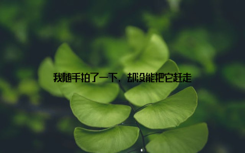 我随手拍了一下, 却没能把它赶走