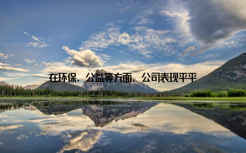 在环保、公益等方面, 公司表现平平