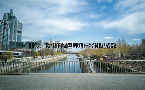 如今, 我们的绿色养殖已经初见成效