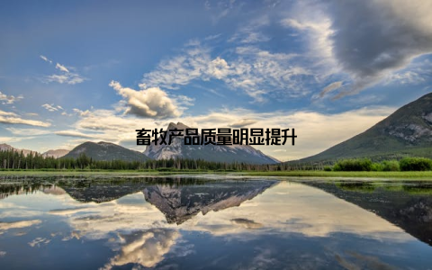 畜牧产品质量明显提升