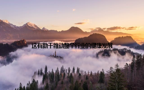 这有助于推动整个行业的健康发展