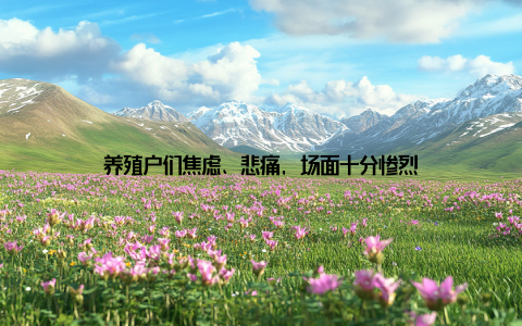 养殖户们焦虑、悲痛, 场面十分惨烈