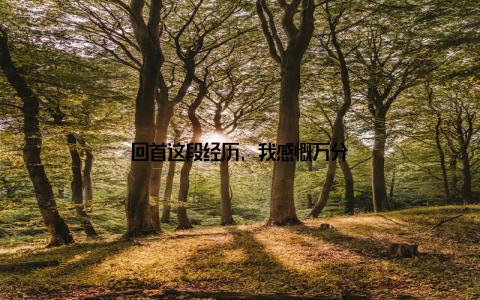 回首这段经历, 我感慨万分