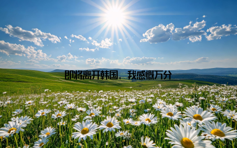 即将离开韩国, 我感慨万分