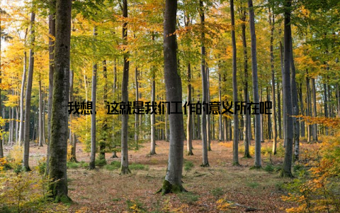 我想, 这就是我们工作的意义所在吧