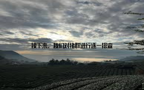 接下来, 我们对猪群进行逐一排查