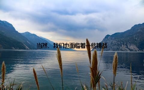 当然, 我们也面临着一些挑战