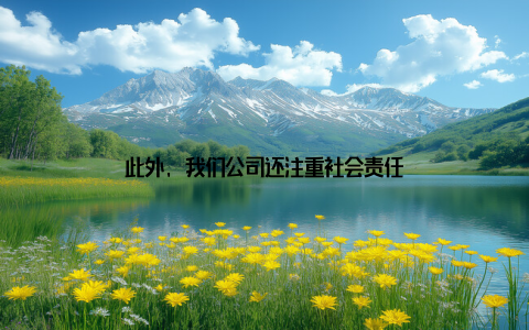 此外, 我们公司还注重社会责任