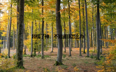 我慌了神, 不知道该怎么办