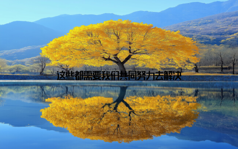 这些都需要我们共同努力去解决