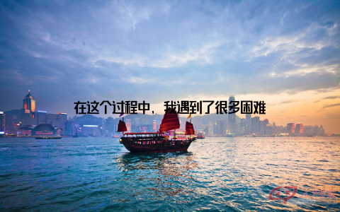 在这个过程中, 我遇到了很多困难