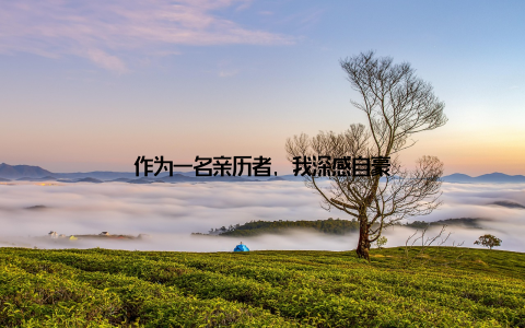 作为一名亲历者, 我深感自豪