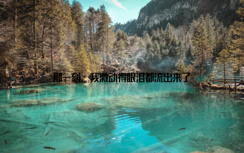 那一刻, 我激动得眼泪都流出来了