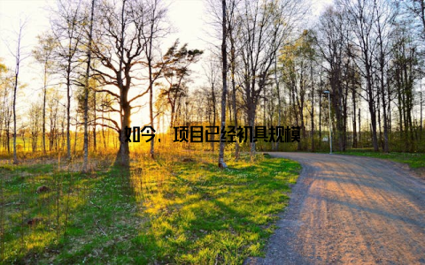 如今, 项目已经初具规模