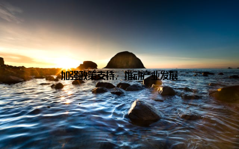 加强政策支持, 推动产业发展
