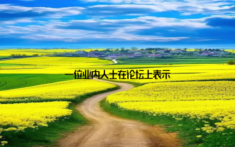 一位业内人士在论坛上表示