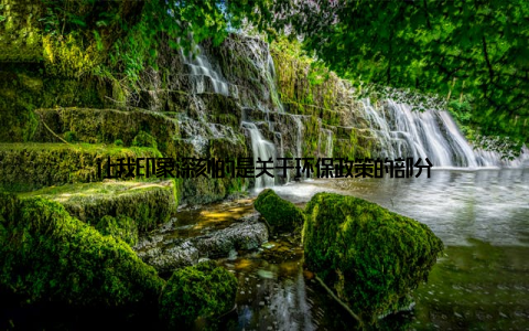 让我印象深刻的是关于环保政策的部分