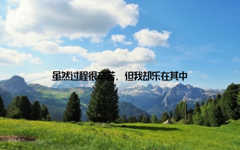 虽然过程很辛苦, 但我却乐在其中