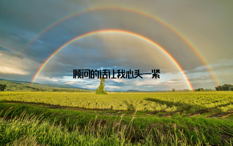 顾问的话让我心头一紧