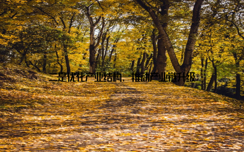 二是优化产业结构, 推动产业链升级