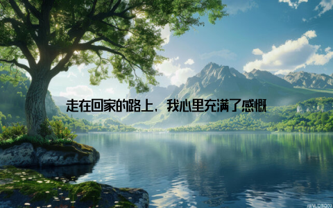 走在回家的路上, 我心里充满了感慨