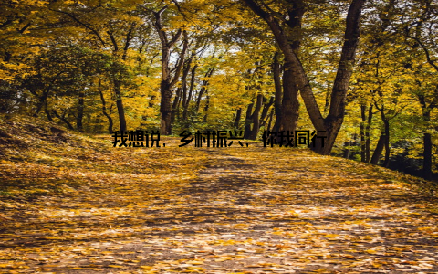 我想说, 乡村振兴, 你我同行
