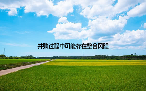 并购过程中可能存在整合风险