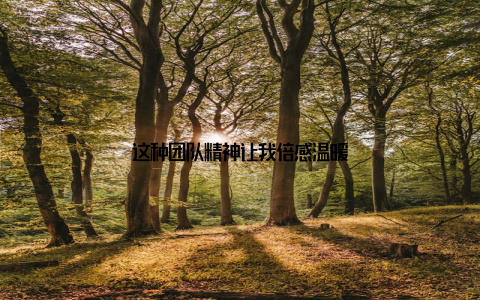 这种团队精神让我倍感温暖