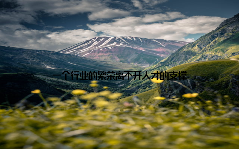 一个行业的繁荣离不开人才的支撑